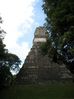 Filename=tikal4.jpg
Filesize=34KB
Dimensions=487x650
Date added=Jan 03, 2010 tikal4.jpg