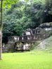 Filename=tikal5.jpg
Filesize=53KB
Dimensions=487x650
Date added=Jan 03, 2010 tikal5.jpg