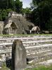 Filename=tikal8.jpg
Filesize=55KB
Dimensions=487x650
Date added=Jan 03, 2010 tikal8.jpg
