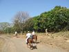 Filename=typicalcountryroad.jpg
Filesize=524KB
Dimensions=1496x1122
Date added=Mar 20, 2007 typicalcountryroad.jpg