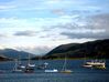 Filename=ullapool2.jpg
Filesize=71KB
Dimensions=600x449
Date added=Aug 23, 2008 ullapool2.jpg