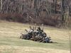 Filename=woodpile.jpg
Filesize=110KB
Dimensions=666x500
Date added=Apr 04, 2007 woodpile.jpg