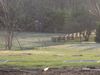 Filename=working2.jpg
Filesize=112KB
Dimensions=666x500
Date added=Apr 04, 2007 working2.jpg